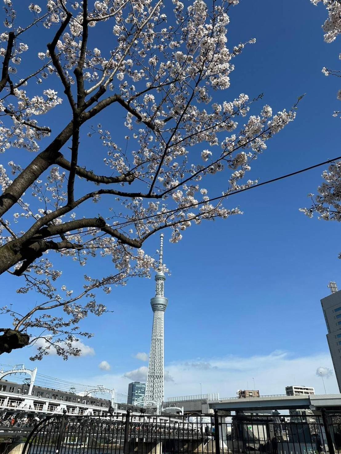 東京雷門ー千の森asakusa Tokyo Eksteriør billede